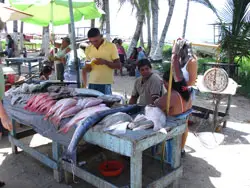 fischmarkt in el tirano